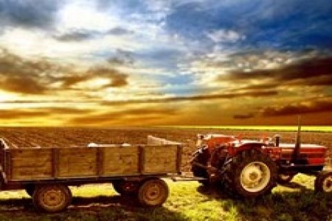 Tarım arazilerinin bölünmesi yasaklanacak!