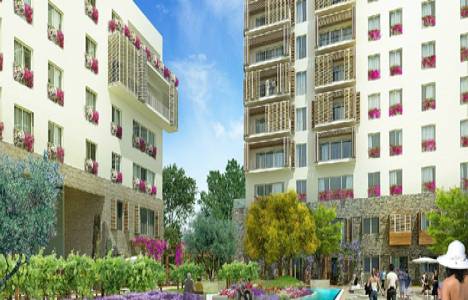 Sancaktepe Ege Boyu hakkında 35 soru 35 cevap! 