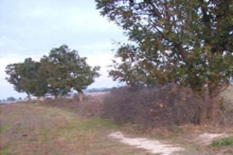 TMSF 23 ilde 83 gayrimenkul satışı yapacak