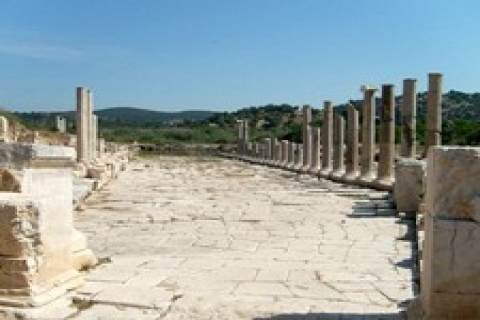 Patara Antik Kenti'ne villa yapılacak!