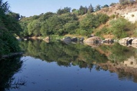 Asi Nehri üzerine Dostluk Barajı yapılacak