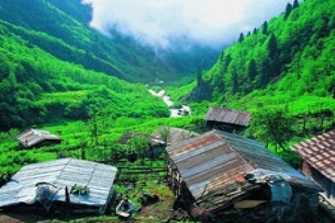 Rize Fındıklı'da Mehmet Aydoğan ağaca kameriye yaptı!