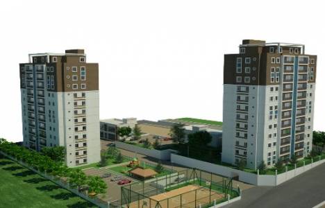 Menta Alyans Projesi