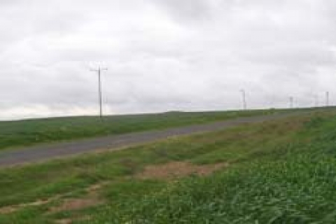 Milli Emlak İstanbul'da arsa ve bağ yeri satacak