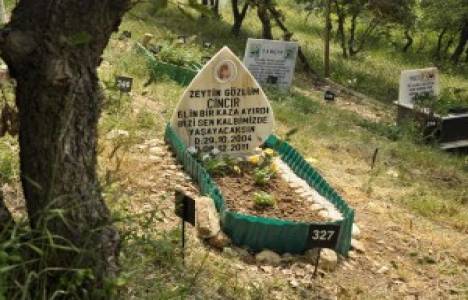 Sahipsiz hayvanlar için mezarlık hizmete açıldı!