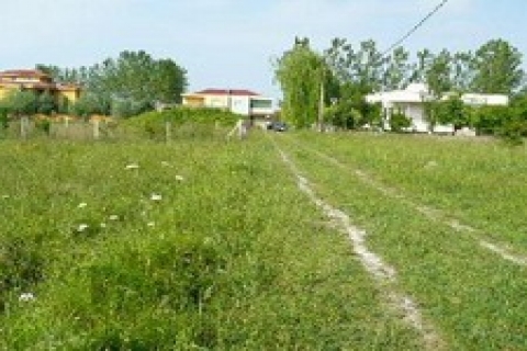 şile'de icradan 207 bin TL'ye satılık tarla!