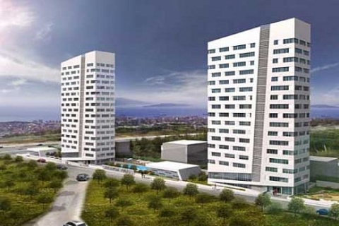 Helenium Twins daireleri