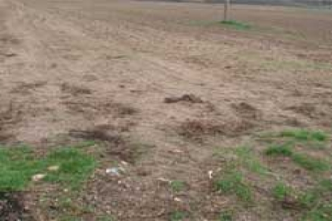 Antalya Muratbaşı Belediyesi 3 taşınmazı satışa çıkardı