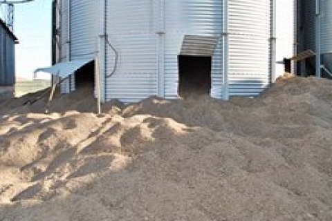 Dinar A.ş. Yem Fabrikası'nı 5 yıllığına kiraya verecek!