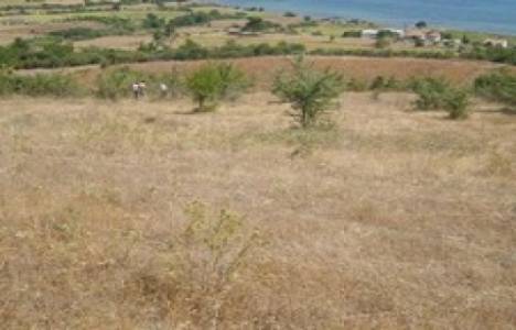 Karabük Yenice'de 7 milyon 299 bin TL'ye satılık bina ve arsası! 