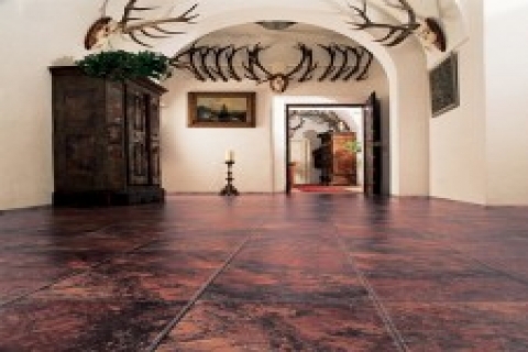 Dendro parke: Bastığınız yere dikkat edin!