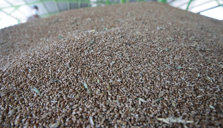 Gıda fiyatlarına yeni zamlar kapıda! Buğday, gübre, ayçiçeği, mısır ve arpada kötü günler geliyor...