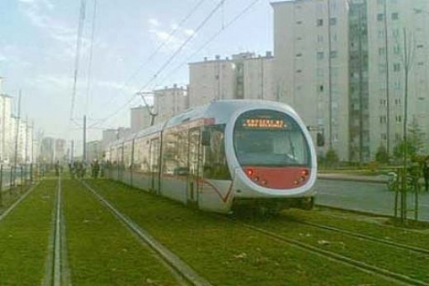 Ayışığı Halting Place'da yaşamın başlaması kutlanacak!