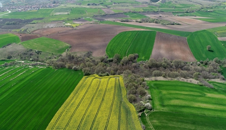 Kastamonu, Çanakkale ve Balıkesir'de arazi toplulaştırması kararı! Resmi Gazete'de yayımlandı!