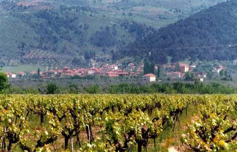 Bornova'da satılık arsa: 653 metrekare 1 milyon 220 bin TL!