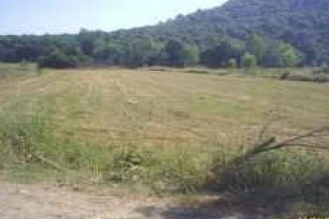 KİPTAş, Esenyurt'ta 2 bin 825 metrekarelik arsayı satışa sunuyor