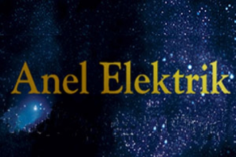  Anel Elektrik Proje, sermaye dağılımı ve yönetim kurulu üyelerini açıkladı!