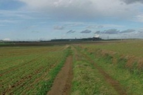 Silivri'de icradan 7 milyon 554 bin TL'ye satılık 4 gayrimenkul!