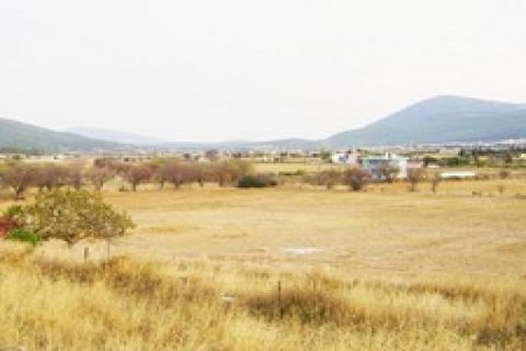 ATB İktisadi şirketi'nden 36 milyon 937 bin TL'ye arsa!