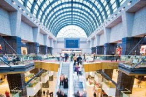 AVM'ler dövizde, yatırımcılar TL'de ısrar ediyor!