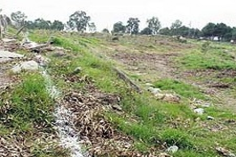 Atatürk Ormanı'nda inşaat başlıyor!