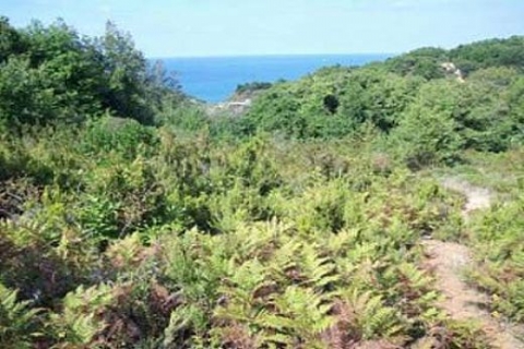 ESMOD, 21. şubesini İstanbul'da açıyor!