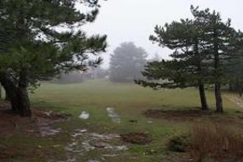 Ege-koop Spil Ormanları'nda arsa satıyor