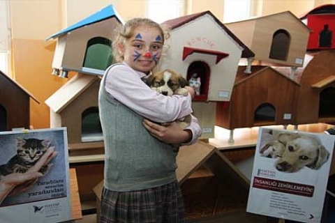 Ataşehir Fetih İMKB İlköğretim Okulu öğrencileri atık mobilyalardan köpek kulübeleri yaptı!