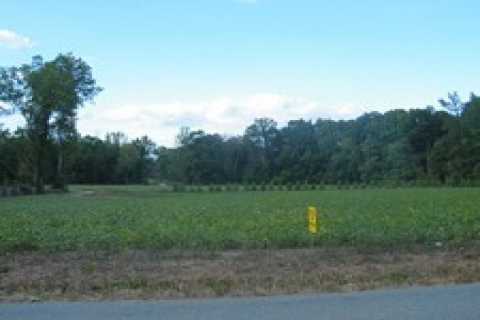 Ankara'da 450 bin TL'ye satılık arsa!