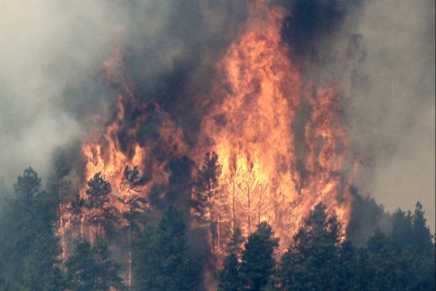 ABD'deki orman yangını 32 bin kişiyi tahliye ettirecek!