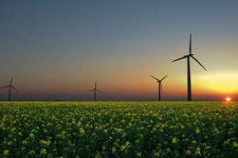 Lark, Kaan Sümer'le LID Energy adlı bir şirket kurdu