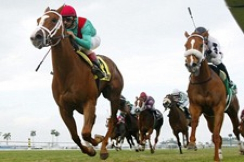 TJK inşaat ve dekorasyon işlerine firmaları davet ediyor!