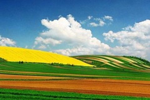 Vakıflar Erzurum 'da 116 bin 950 TL 'ye arsa satıyor!