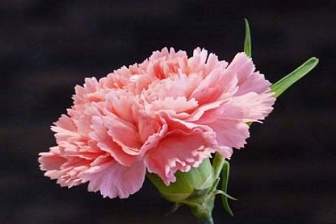 Selahattin Sabuncuoğlu vefat etti! Tekyol Gayrimenkul'un acı günü!