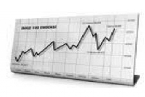 Berkosan Yalıtım 2010 faaliyet raporunu açıkladı!