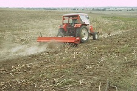 Antalya'da icradan 875 bin TL'ye satılık tarla!