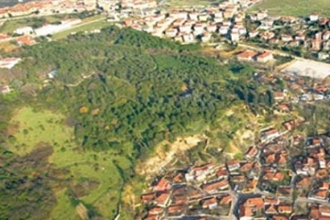 Ünlü isimler 2B arazileriyle ilgili çıkan yasadan dolay sevinçli!