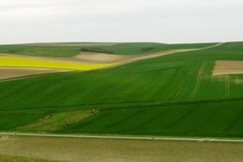 Milli Emlak Adana 'da arsa, şanlıurfa 'da tarla satıyor!
