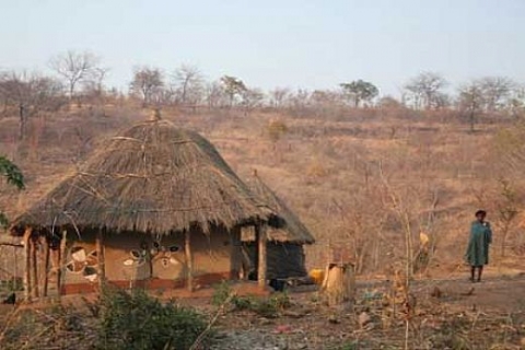 Zambiya'ya erken giden kazanıyor!