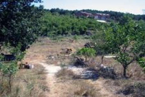 2-B'nin kaderi Anayasa Mahkemesi'nde