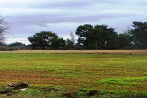 Afyonkarahisar'da belediye iki arsayı 6,4 milyon TL'den satıyor!