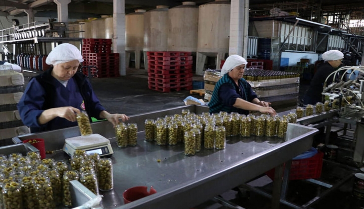 Sofralık zeytinin başkentinde hedef 130 bin ton ihracat! Zeytin fiyatları ne kadar? İşte 2 Kasım 2022 fiyat listesi...