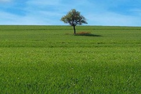 Milli Emlak 'tan Ankara ve Konya'da 49 yıllığına 67 taşınmaz!