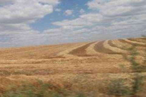 Edirne'de 49 yıllığına kiralık iki tarla!