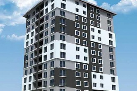 kınaş kış güneşi