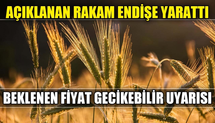 Gıda fiyatlarında beklenen düşüş gecikebilir! Açıklanan rakam endişe yarattı