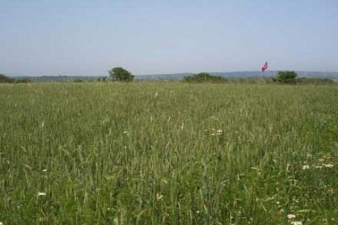 ÖİB'den Aydın, Denizli, Elazığ ve Erzurum'da satılık 9 arsa!