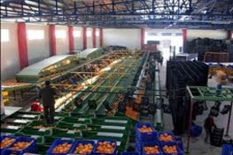 Mersin'de icradan 2.1 milyon TL'ye paketleme tesisi!