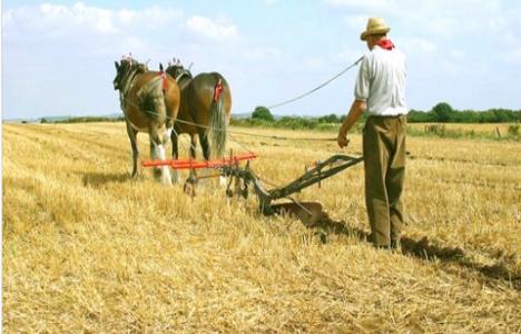 1 milyar liralık kooperatif borçları yapılandırılacak!
