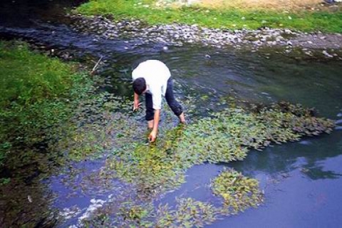  Kastamonu'daki Devrekani Çayı, atıklar yüzünden soldu!